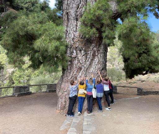 Yoganya_foto_tenerife_0008